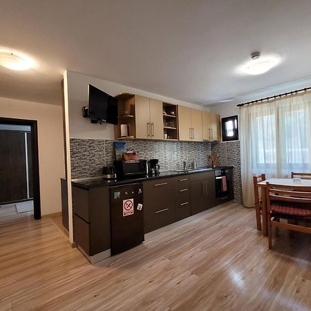 Central Place Apartment 蒂米什瓦拉 外观 照片