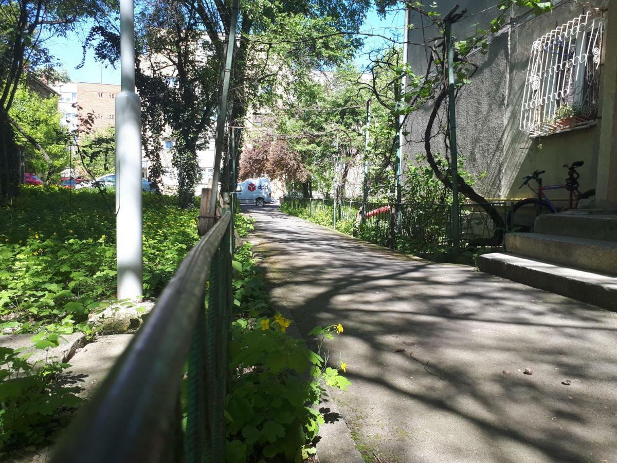 Central Place Apartment 蒂米什瓦拉 外观 照片