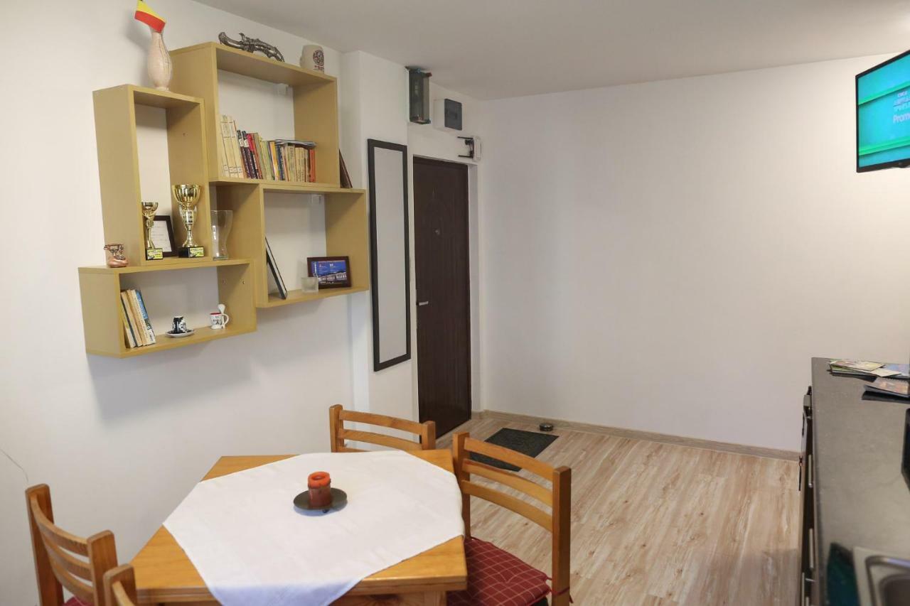 Central Place Apartment 蒂米什瓦拉 外观 照片
