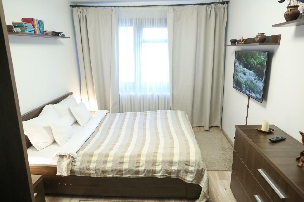 Central Place Apartment 蒂米什瓦拉 外观 照片
