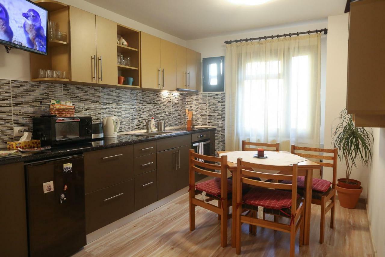 Central Place Apartment 蒂米什瓦拉 外观 照片